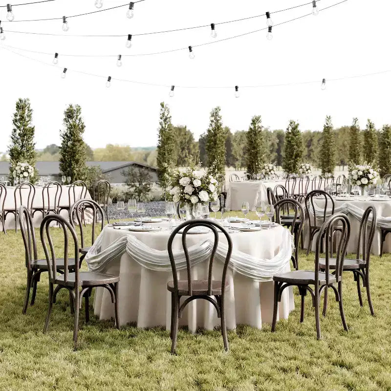 2-Pack Indoor/Outdoor Resin Thonet Style Chairs