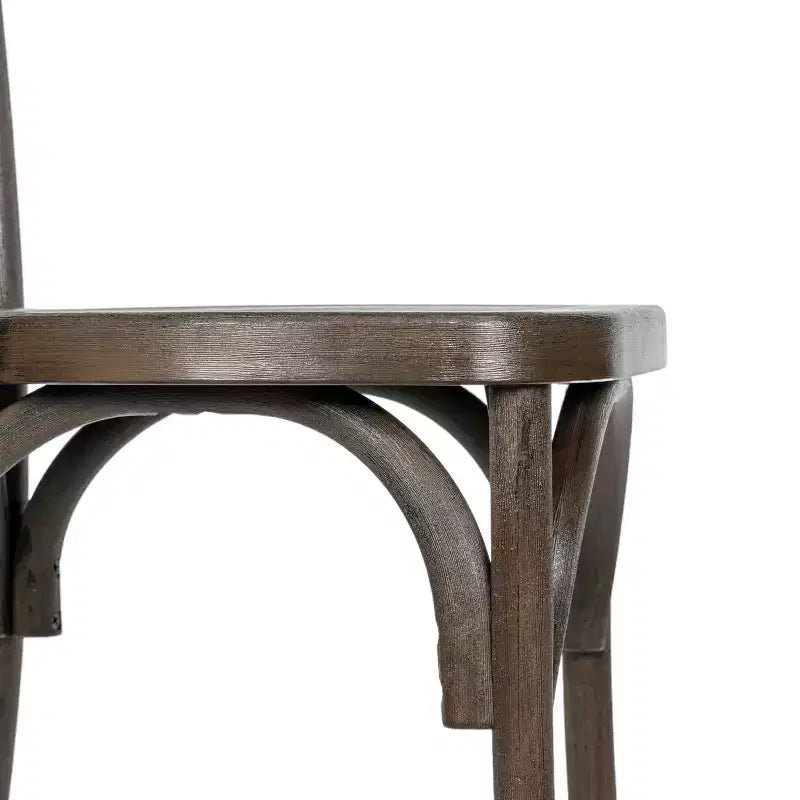 2-Pack Indoor/Outdoor Resin Thonet Style Chairs