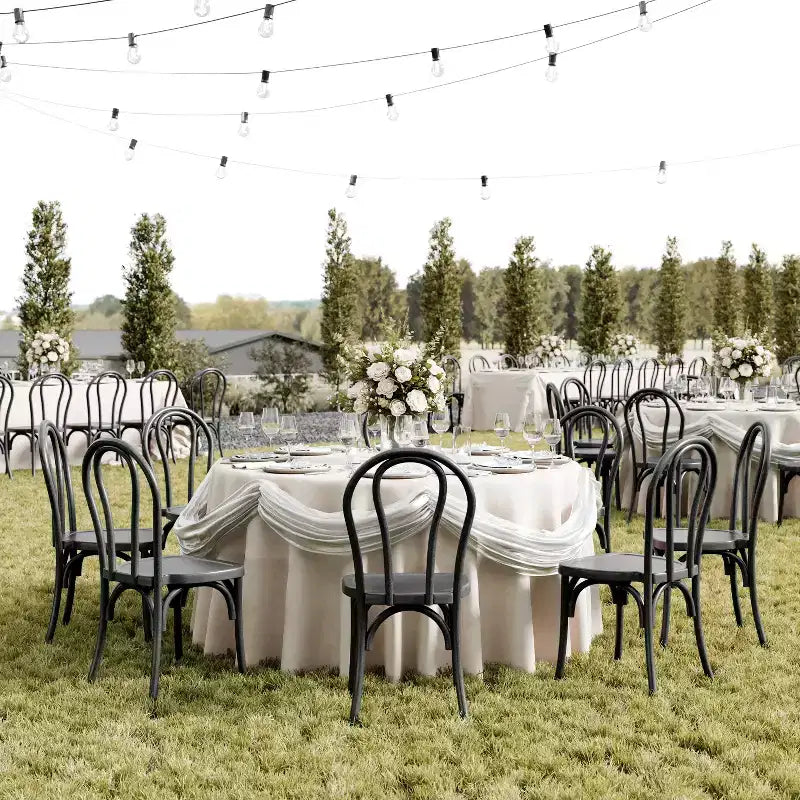 2-Pack Indoor/Outdoor Resin Thonet Style Chairs