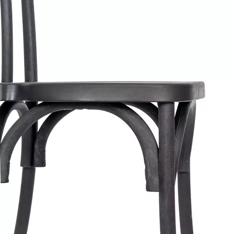 2-Pack Indoor/Outdoor Resin Thonet Style Chairs