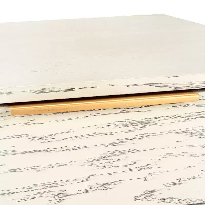 2 Drawer Coffee Table with Storage